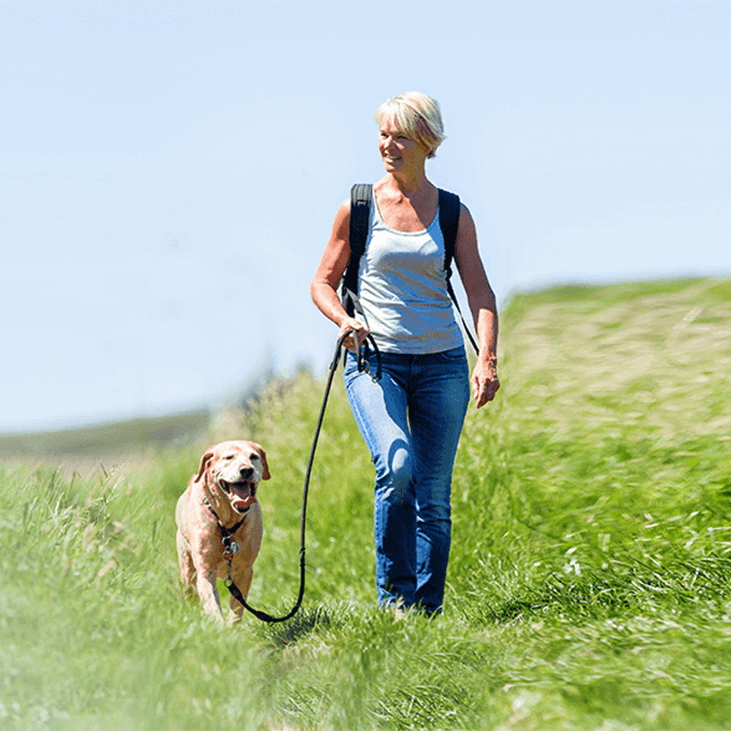 Webdesign Zwanenburg, Project Direct, Timo van Tilburg, Snel een Webdesigner Zwanenburg, Website laten maken Zwanenburg, Website laten bouwen Zwanenburg, SEO Zwanenburg, SEA Zwanenburg, Online Marketing Zwanenburg, Wordpress Zwanenburg, Zoekmachine optimalisatie Zwanenburg